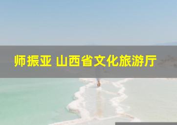 师振亚 山西省文化旅游厅